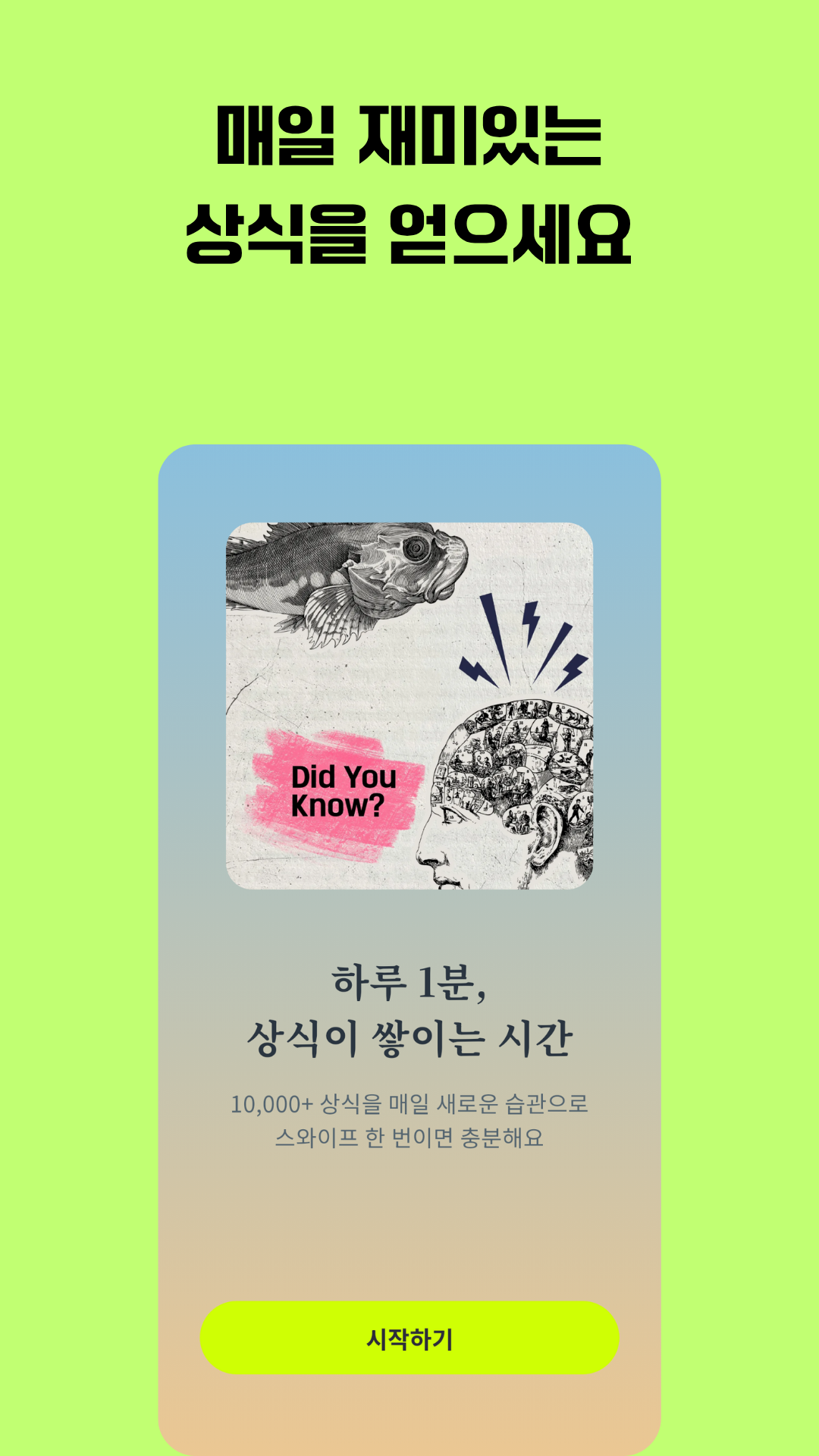 국어:상식의 신 시작 화면