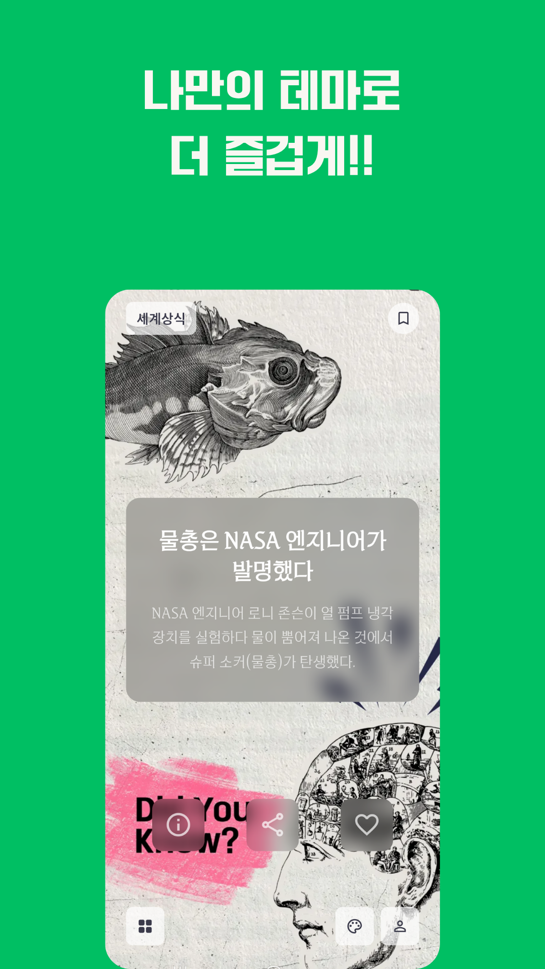 테마가 적용된 상식 카드